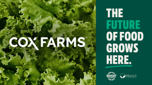 ‘Cox Farms Emerges as One of the Largest Greenhouse Growers in North America’