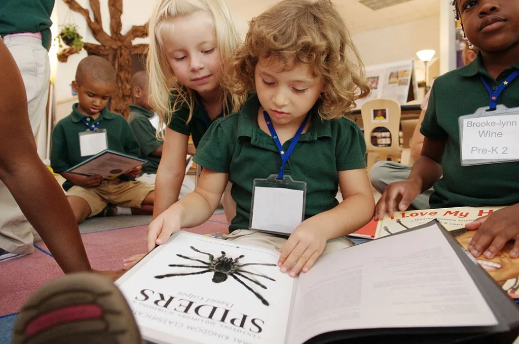 Group of young children circled around a book about Spiders reading together.