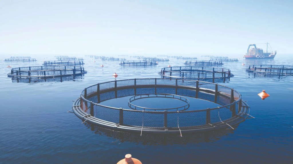 open net-pen fisheries in the water