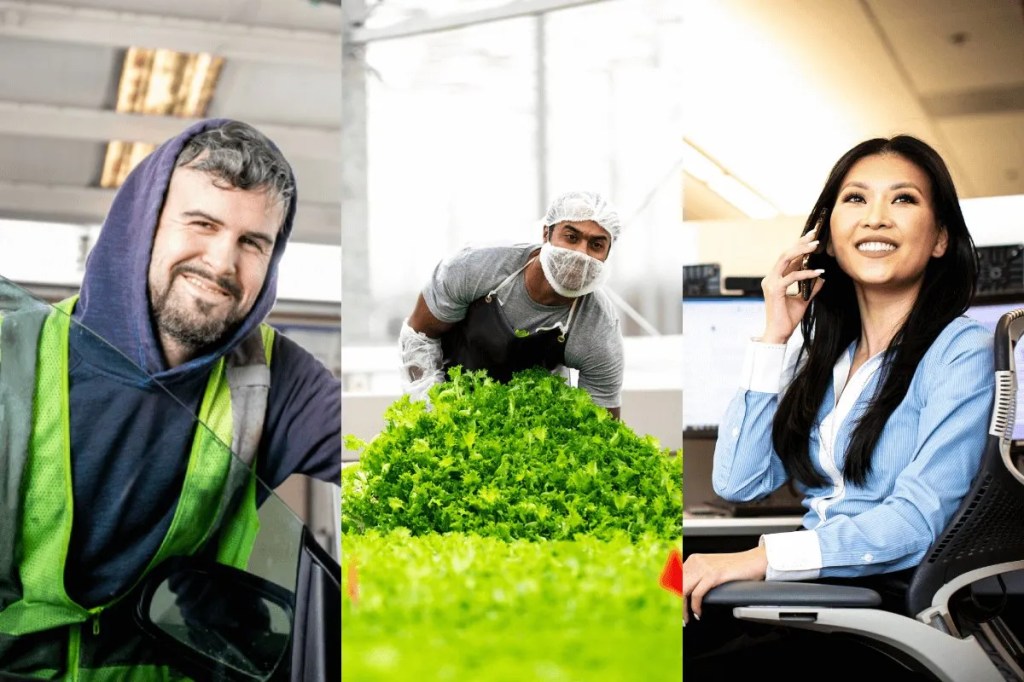 A collage featuring three employees. One wears a safety vest, another wears a mask and handles vegetables, another is sitting in an office.