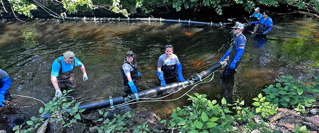 Volunteers from Cox working on water clean up