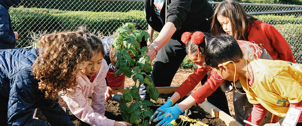 Group of children gardening outside