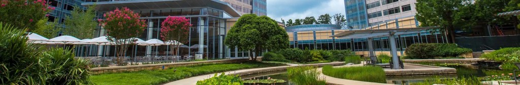 View of beautifully landscaped campus with lots of greenery, seating, and pond water feature