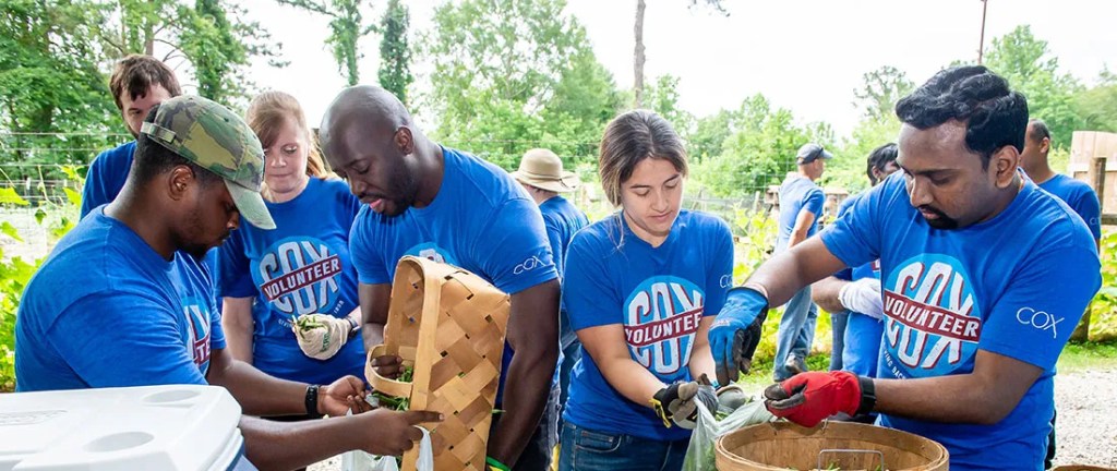 A group of volunteers sorting through food donations.