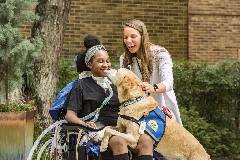 A service dog jumping into the lap of a woman in a wheelchair with an aide petting the dog.