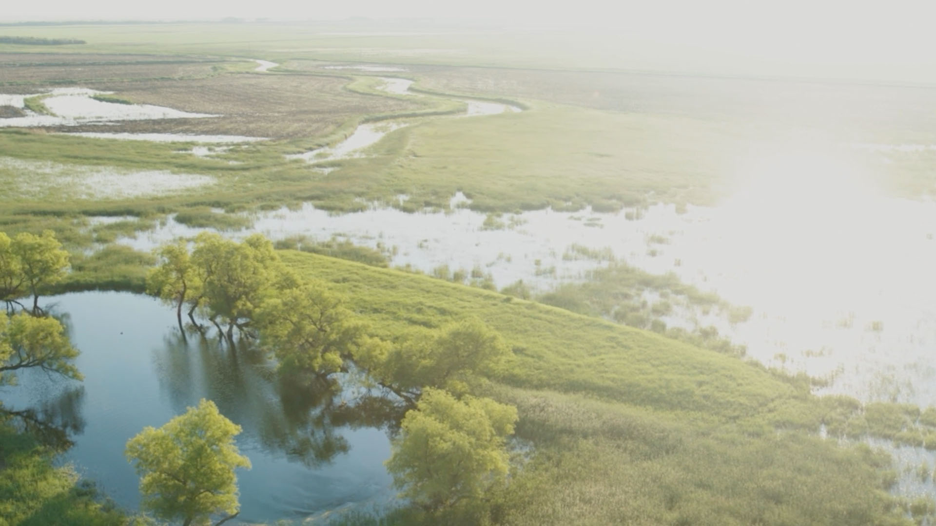Outdoors | Cox Enterprises