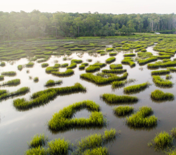 Clarendon Farms Donation by Cox Enterprises Marks One of the Most Significant Conservation Easements in U.S. History