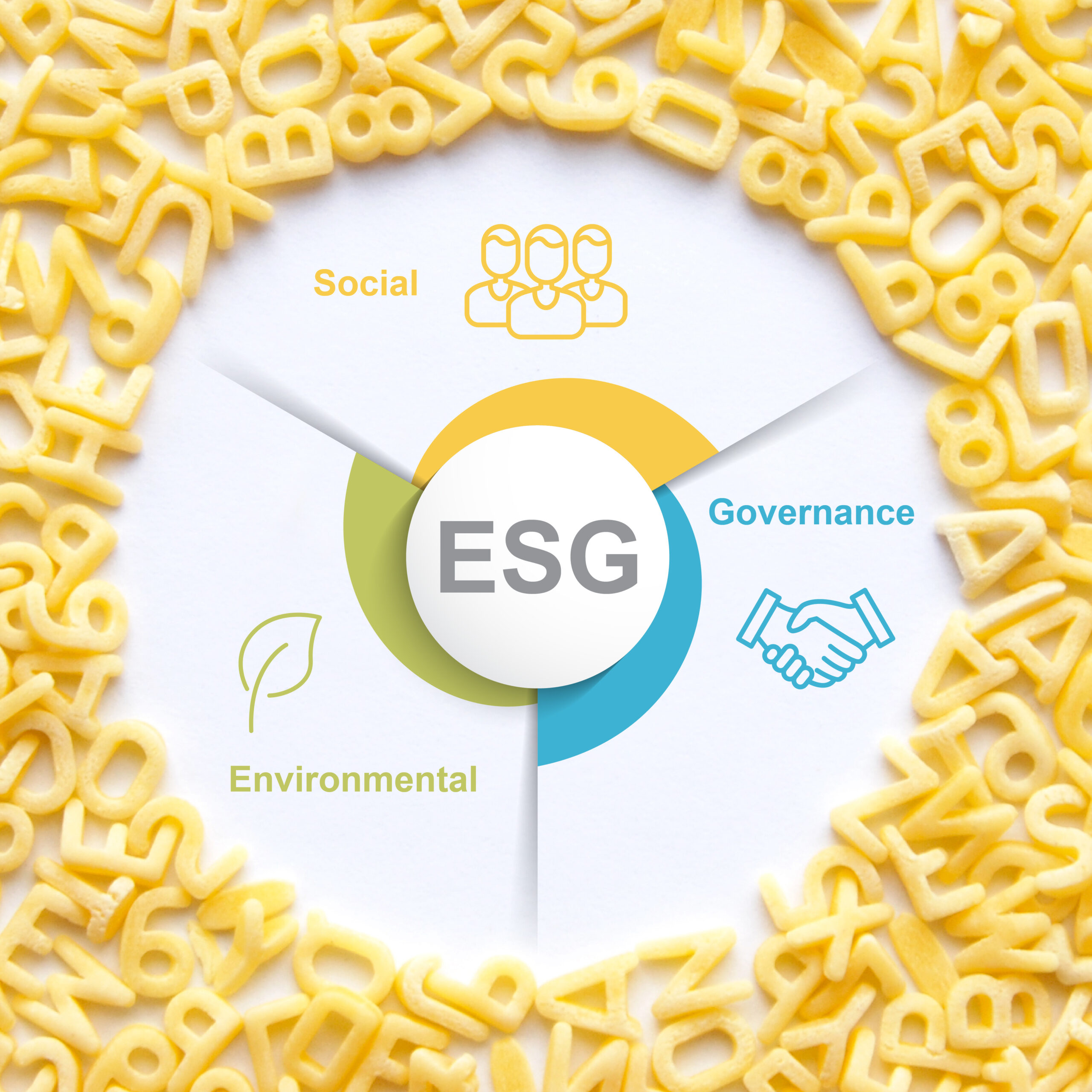 Chief Executive: ESG Reporting