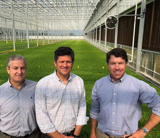 BrightFarms to Ohio: Lettuce Serve You