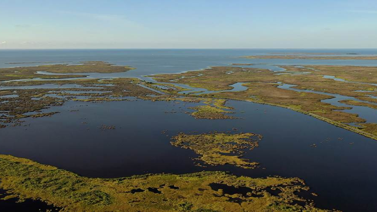 Cox Foundation Donates 2M to Ducks Unlimited Cox Enterprises